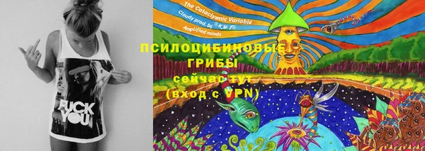 Альфа ПВП Беломорск