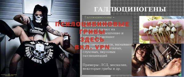 Альфа ПВП Беломорск