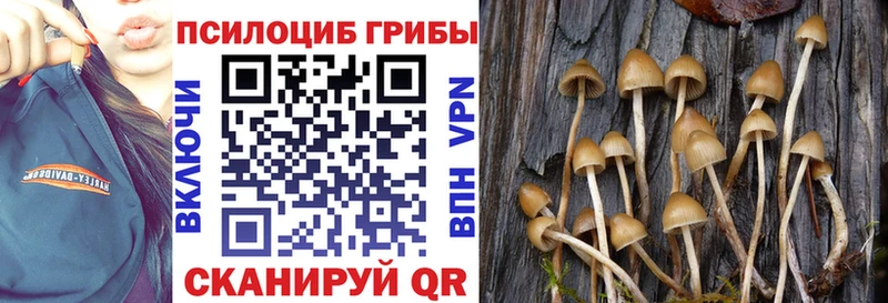 купить цена Маркс Галлюциногенные грибы мицелий
