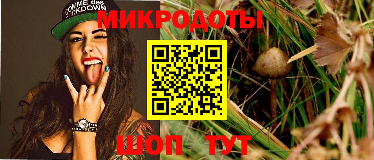 Псилоцибиновые грибы Cubensis Маркс